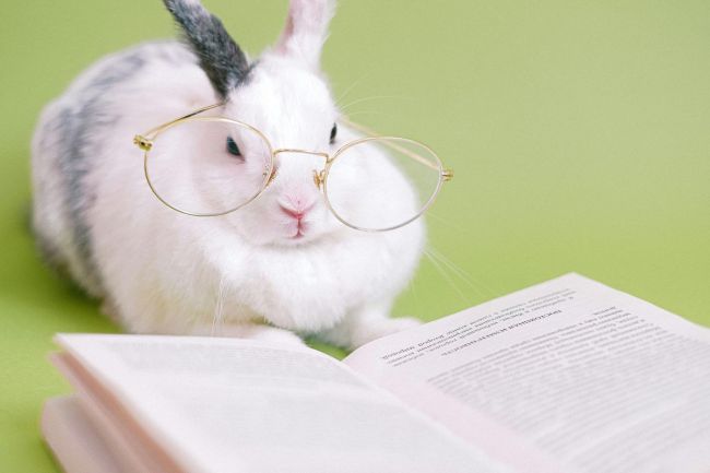Propriété intellectuelle, nom de marque · Le Guide pratique