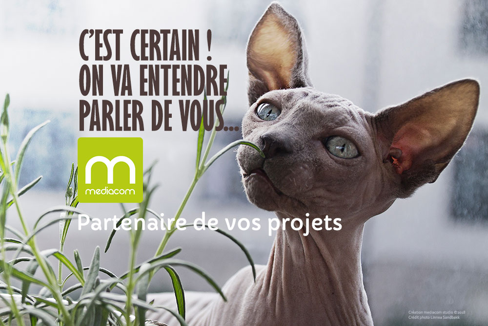 mediacom partenaire de vos projets - agence digitale à Besançon